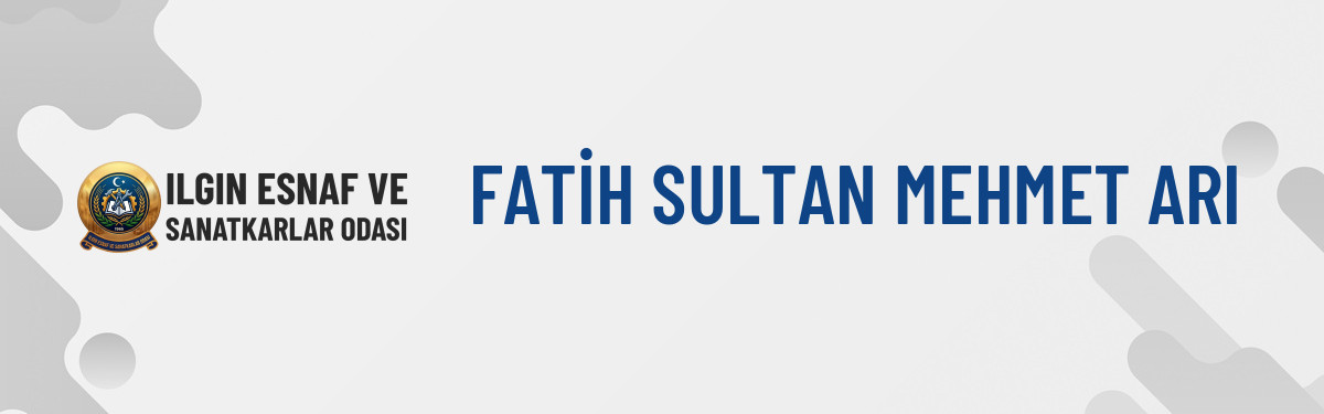 FATİH SULTAN MEHMET ARI