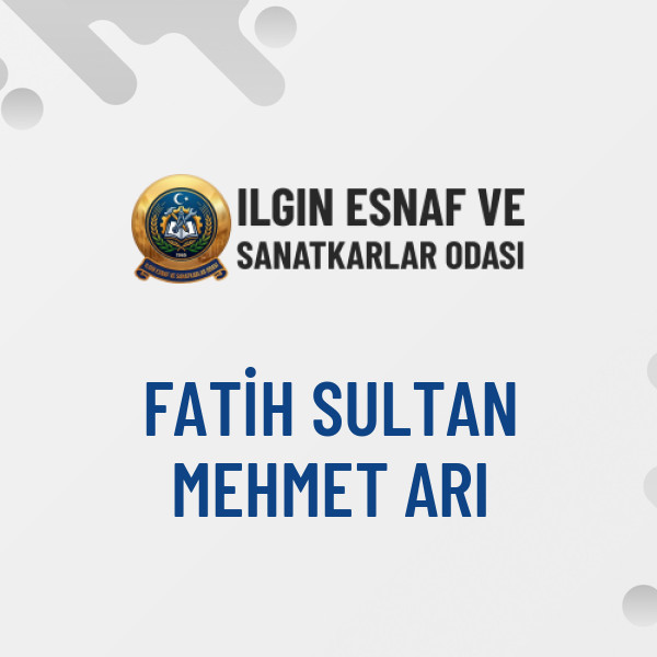 FATİH SULTAN MEHMET ARI