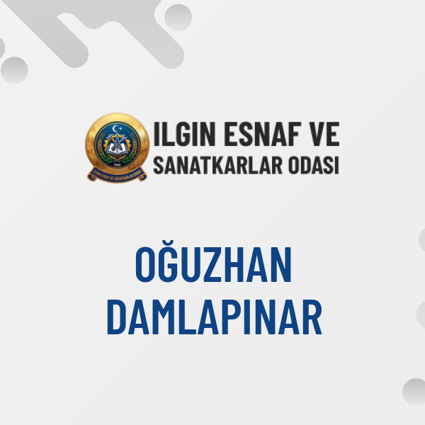 OĞUZHAN DAMLAPINAR